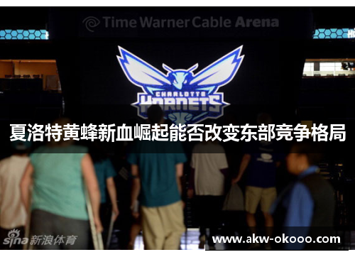 夏洛特黄蜂新血崛起能否改变东部竞争格局