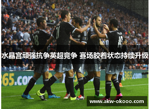 水晶宫顽强抗争英超竞争 赛场胶着状态持续升级