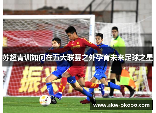 苏超青训如何在五大联赛之外孕育未来足球之星
